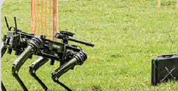 Lance Disrupter carried on a Ghost Robotics quadruped robot on grass, aimed at a suitcase